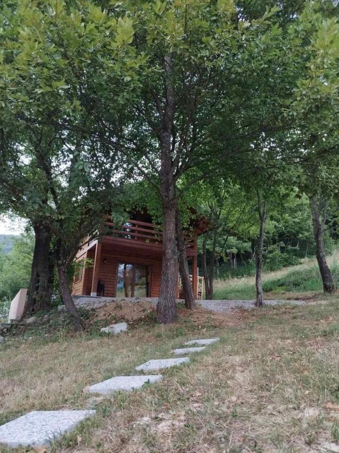 Kuca U Sumi - Forest House Near National Park Una - Air Spa Lohovo بيهاتش المظهر الخارجي الصورة