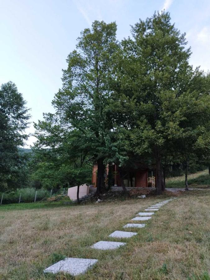 Kuca U Sumi - Forest House Near National Park Una - Air Spa Lohovo بيهاتش المظهر الخارجي الصورة