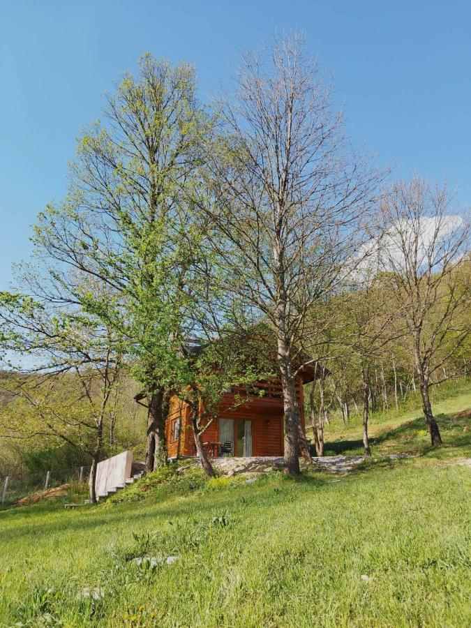 Kuca U Sumi - Forest House Near National Park Una - Air Spa Lohovo بيهاتش المظهر الخارجي الصورة